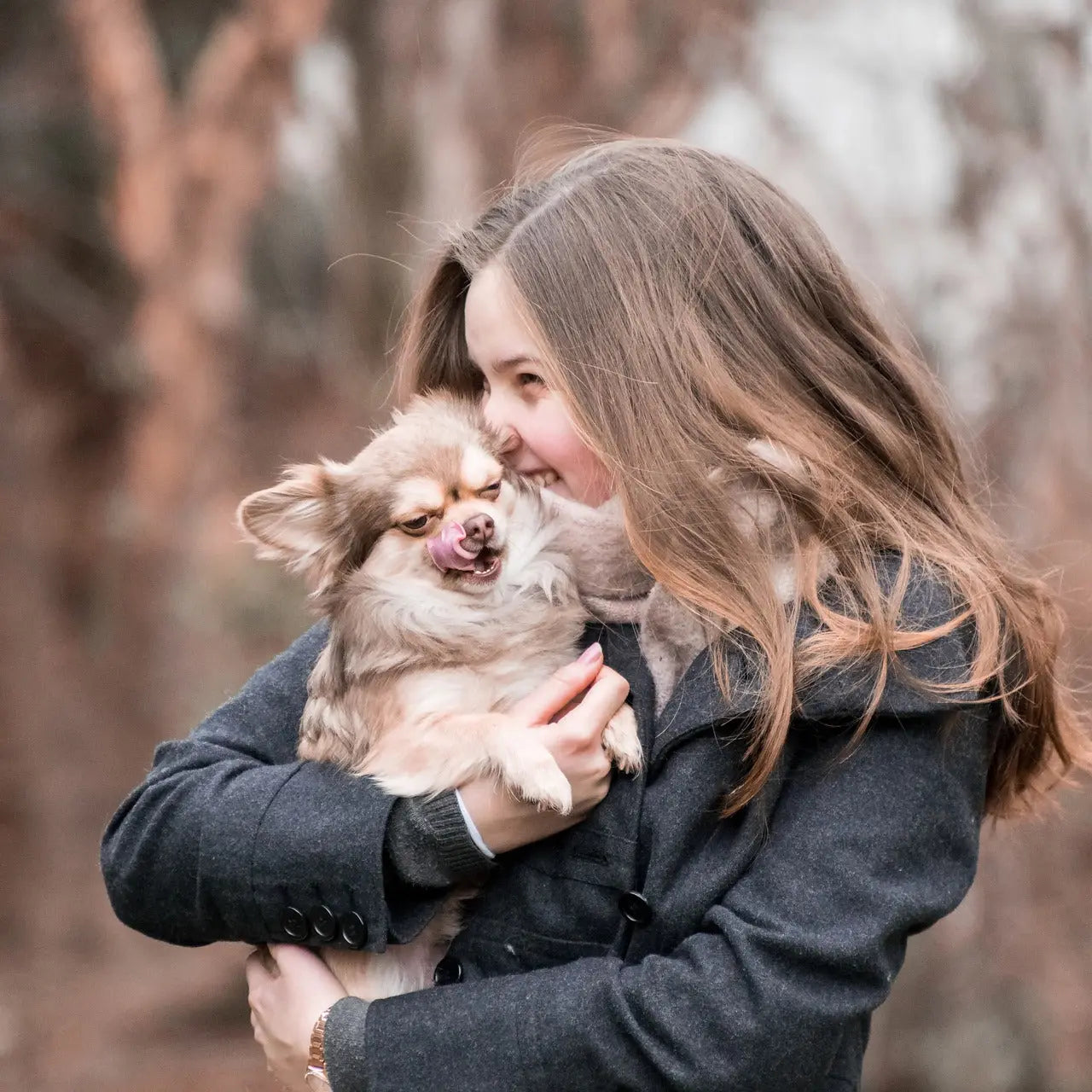 Les Signes de Bien-Être chez les Chiens : Comprendre le Langage Canin 🐕