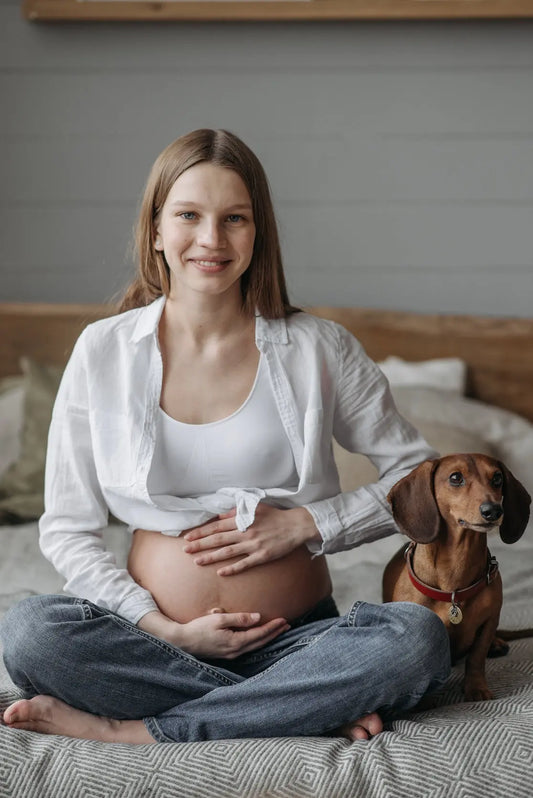 Comment préparer son chien à l'arrivée d'un bébé : Un guide complet 🍼🐾