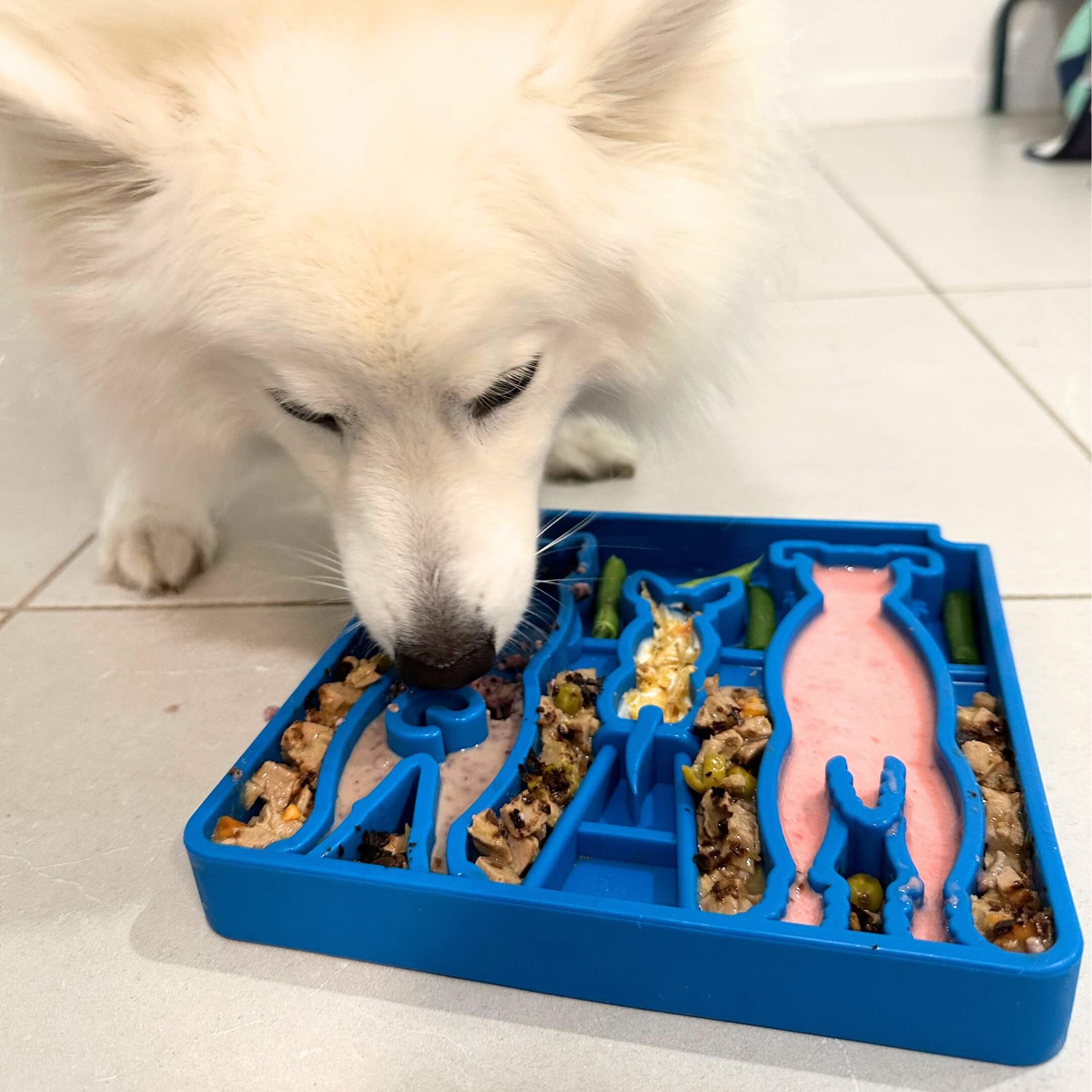 Tapis de léchage et d'occupation pour chien - The Dogs 🐶