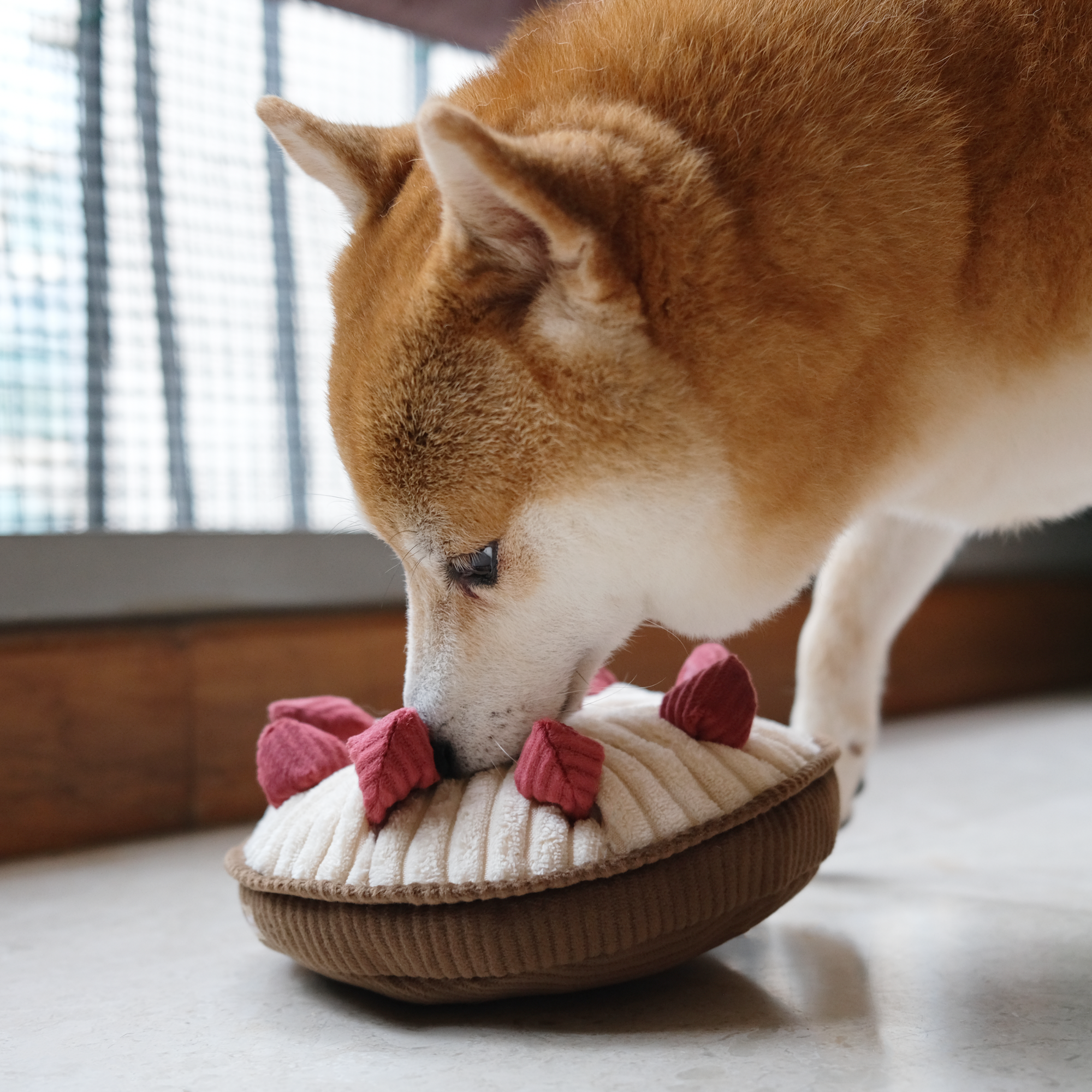 JOUET D'OCCUPATION POUR CHIEN - TARTE AUX FRAMBOISES