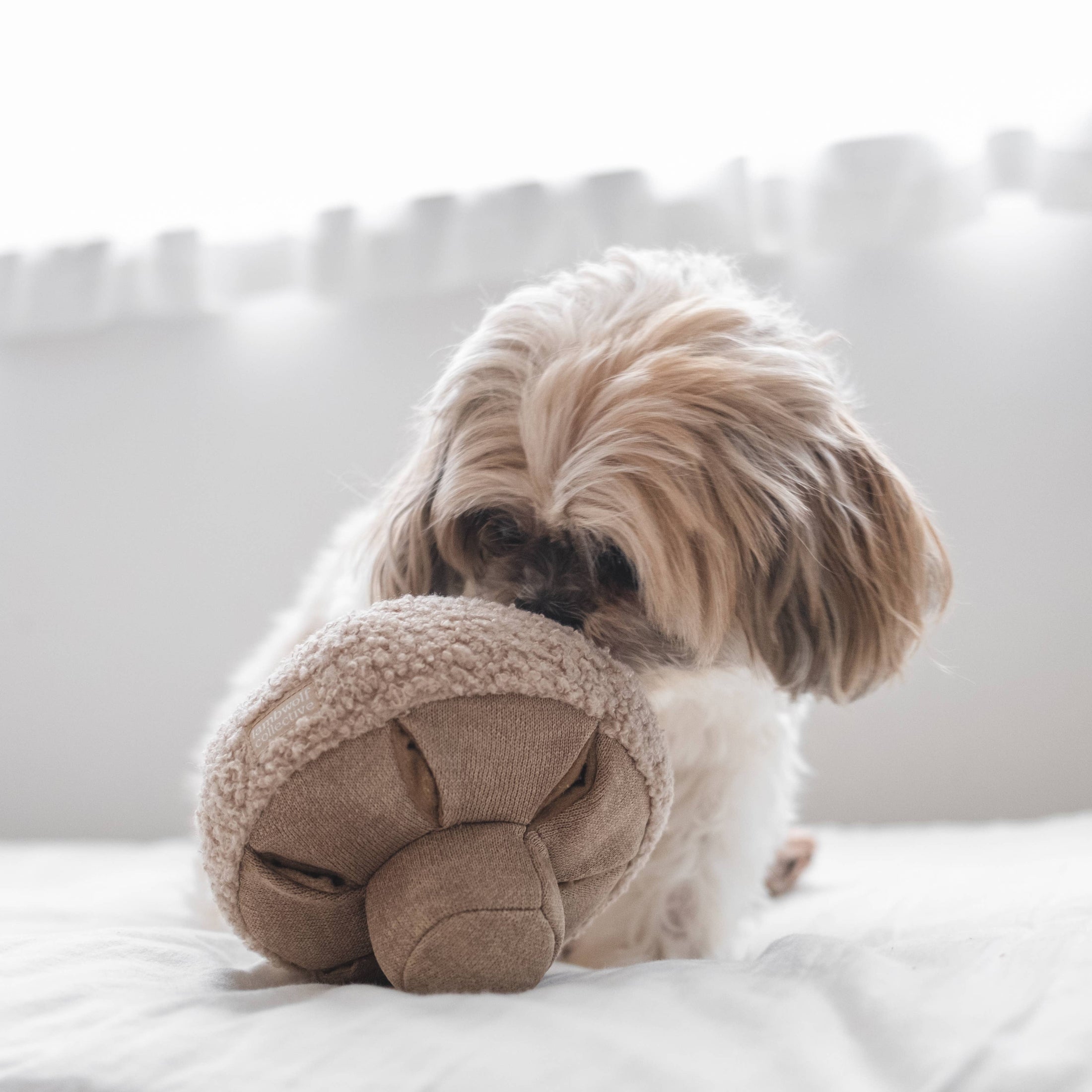 "CHAMPIGNON" - JOUET D'OCCUPATION POUR CHIEN