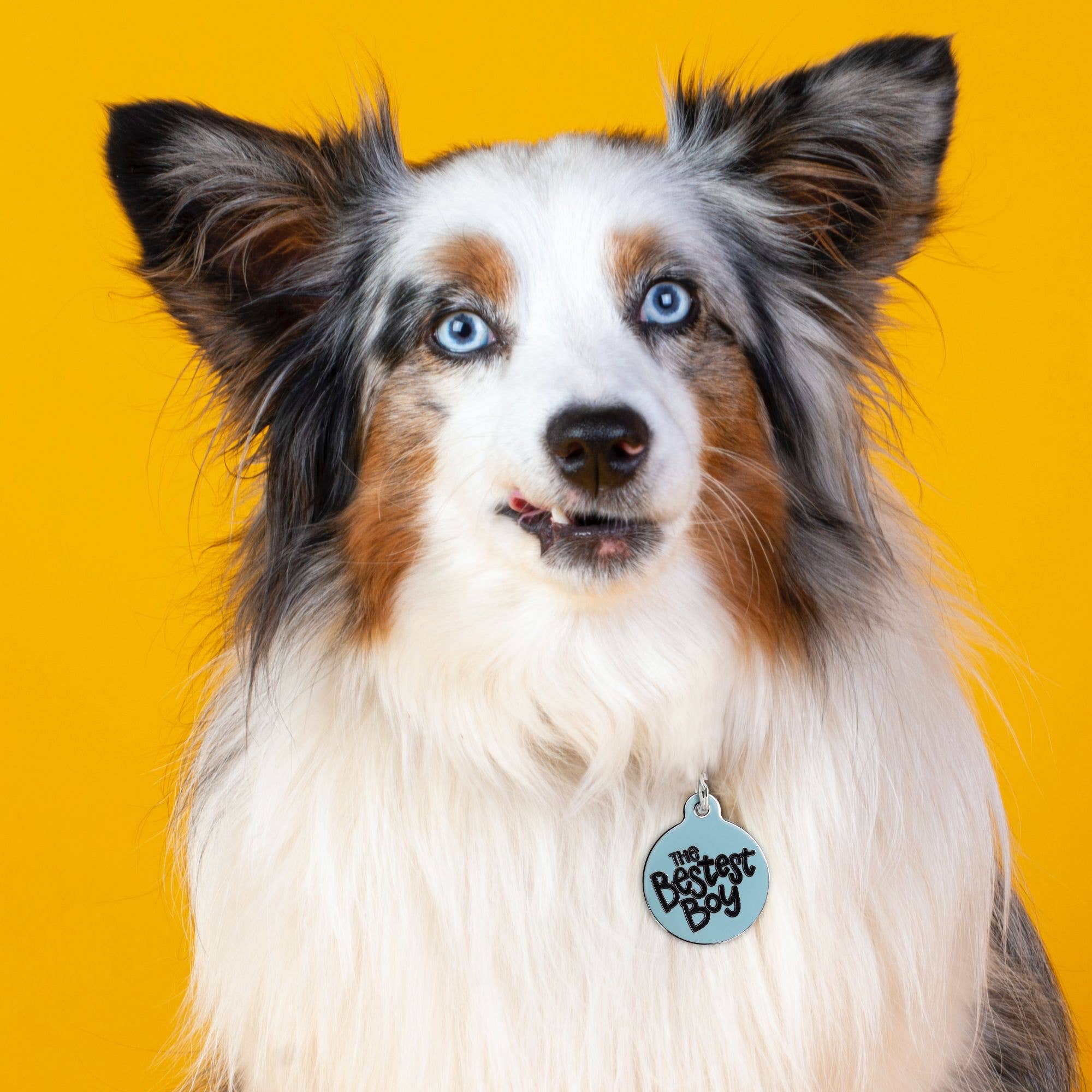 Médaille d'identification QR Code pour chien - The Bestest Boy