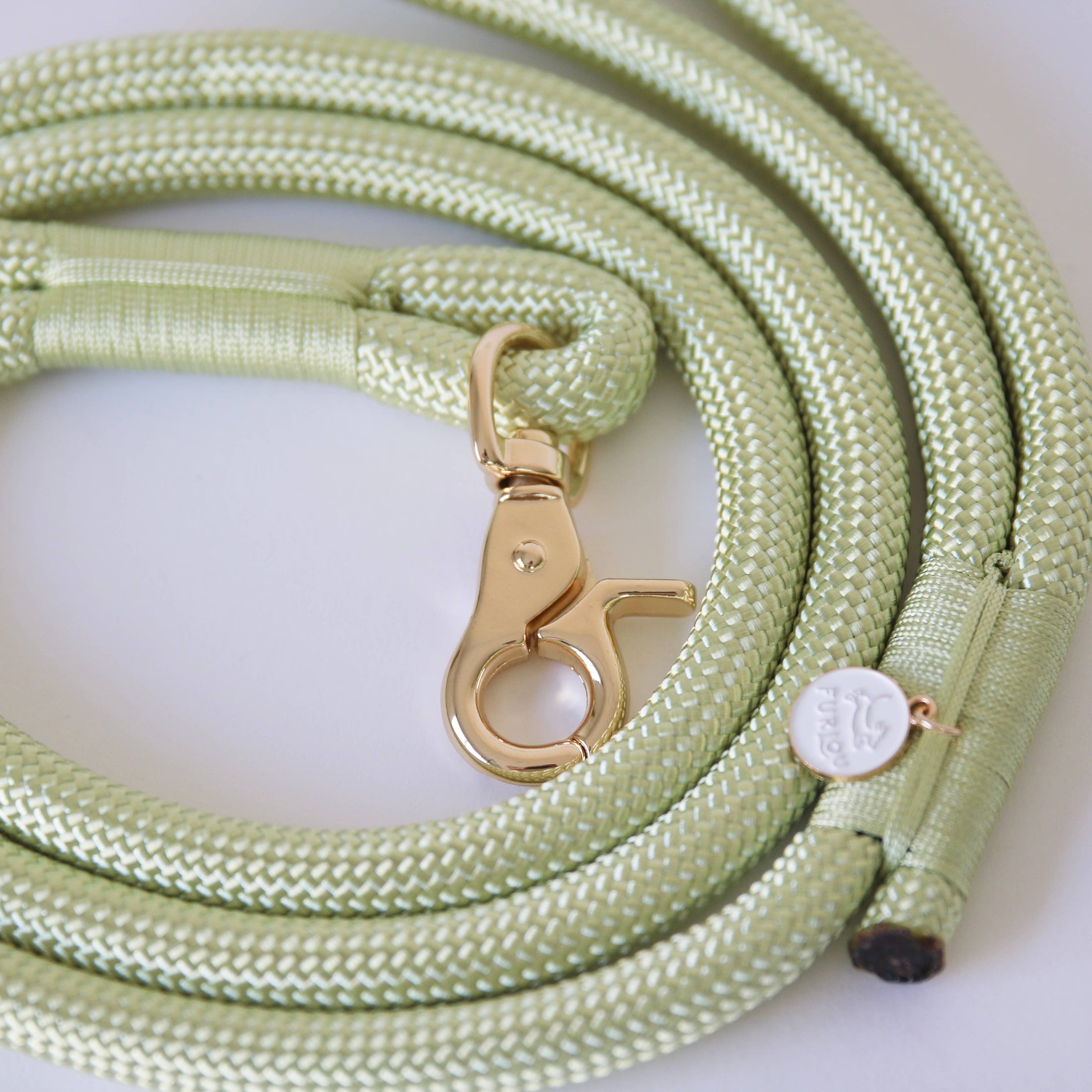 LAISSE EN CORDE POUR CHIEN - VERT LIME