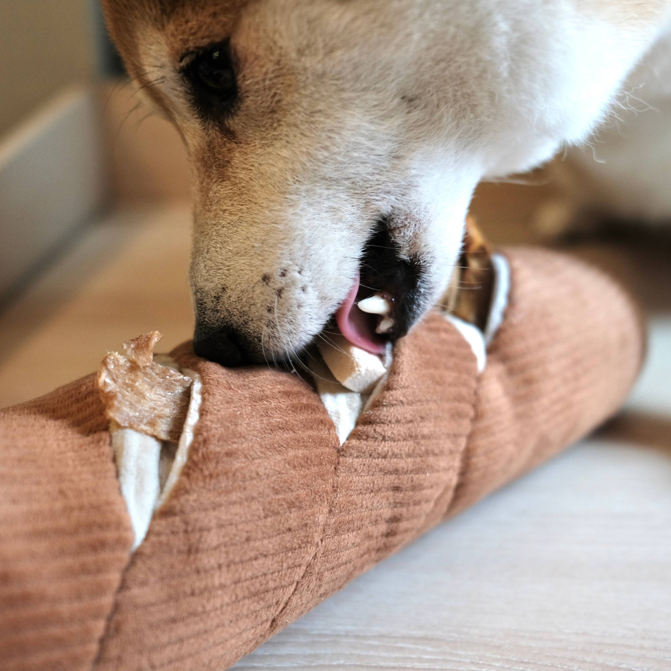 "BAGUETTE" - JOUET D'OCCUPATION POUR CHIEN