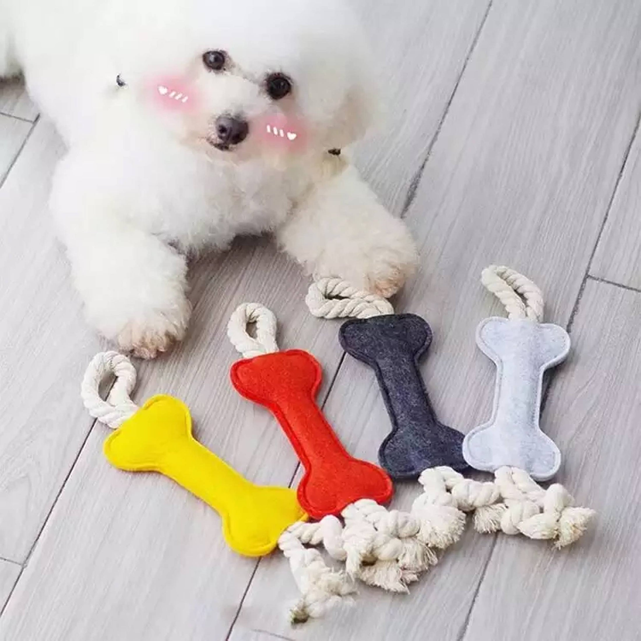 Jouets à mâcher pour chien en forme d'os