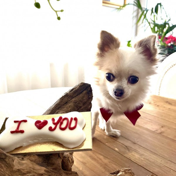 Gâteau " I ❤️ YOU" pour chien