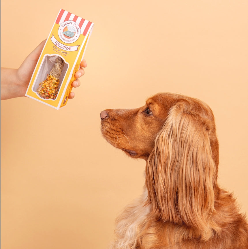 Sucettes à mâcher pour chien - Chewy-Pop à la Dinde