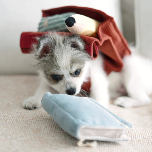 CARTABLE D'ECOLIER - JOUET D'OCCUPATION POUR CHIEN