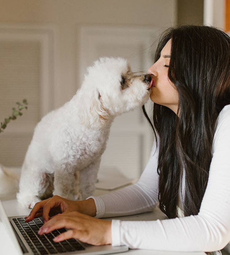 Jouet pour chien White Bone, Fleky