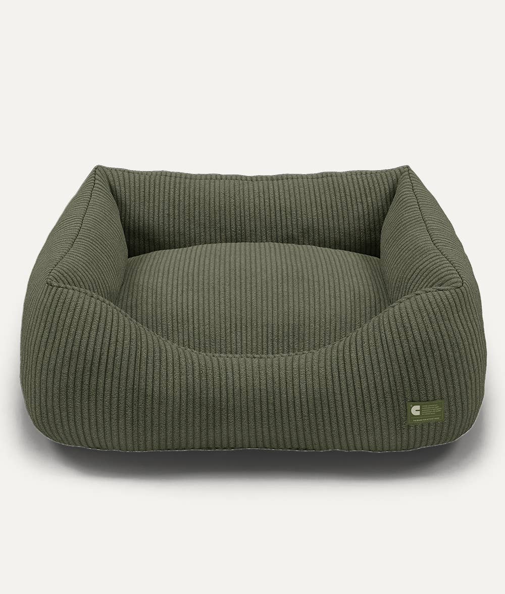 MARLEY - Panier pour chien velours côtelé - VERT