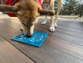 Charger l'image dans la visionneuse de la galerie, Tapis de léchage et d'occupation pour chien - Motif Puzzle 🧩
