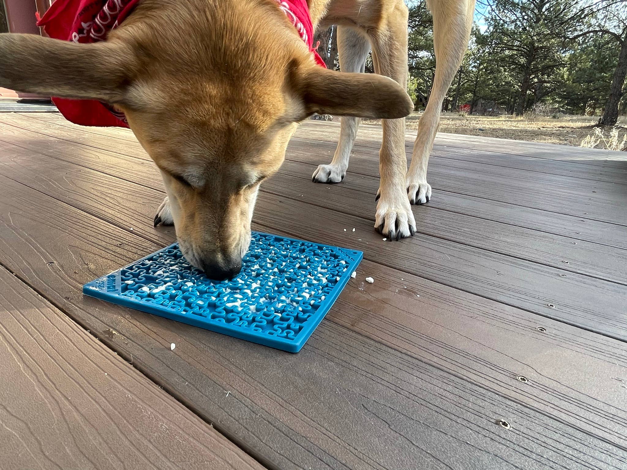 Tapis de léchage et d'occupation pour chien - Motif Puzzle 🧩