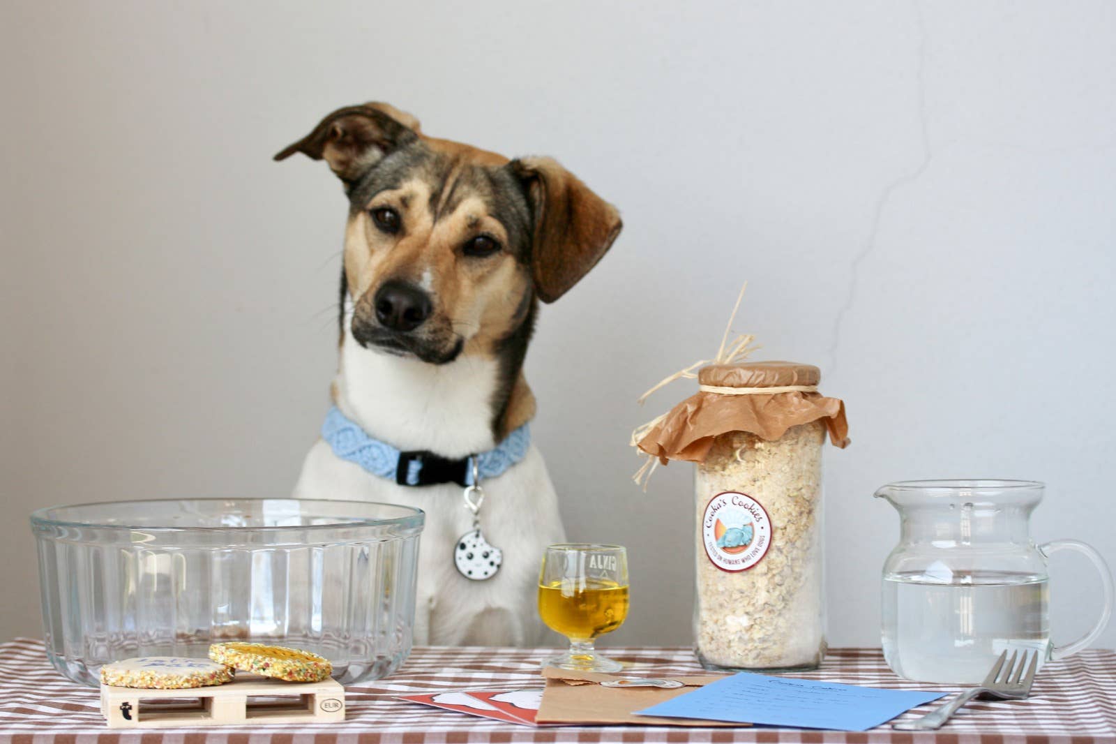 Kit Gâteau pour chien - Poulet