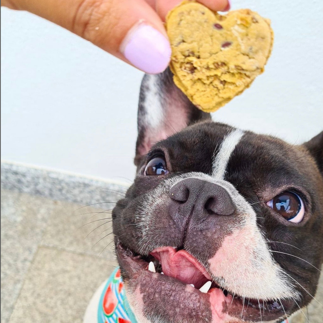 Friandises naturelles pour chien "Coeur "- Poulet