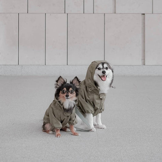 IMPERMEABLE POUR CHIEN-BROOKLYN
