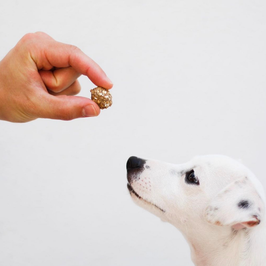 Cornet de friandises pour chien - au porc et à la sardine