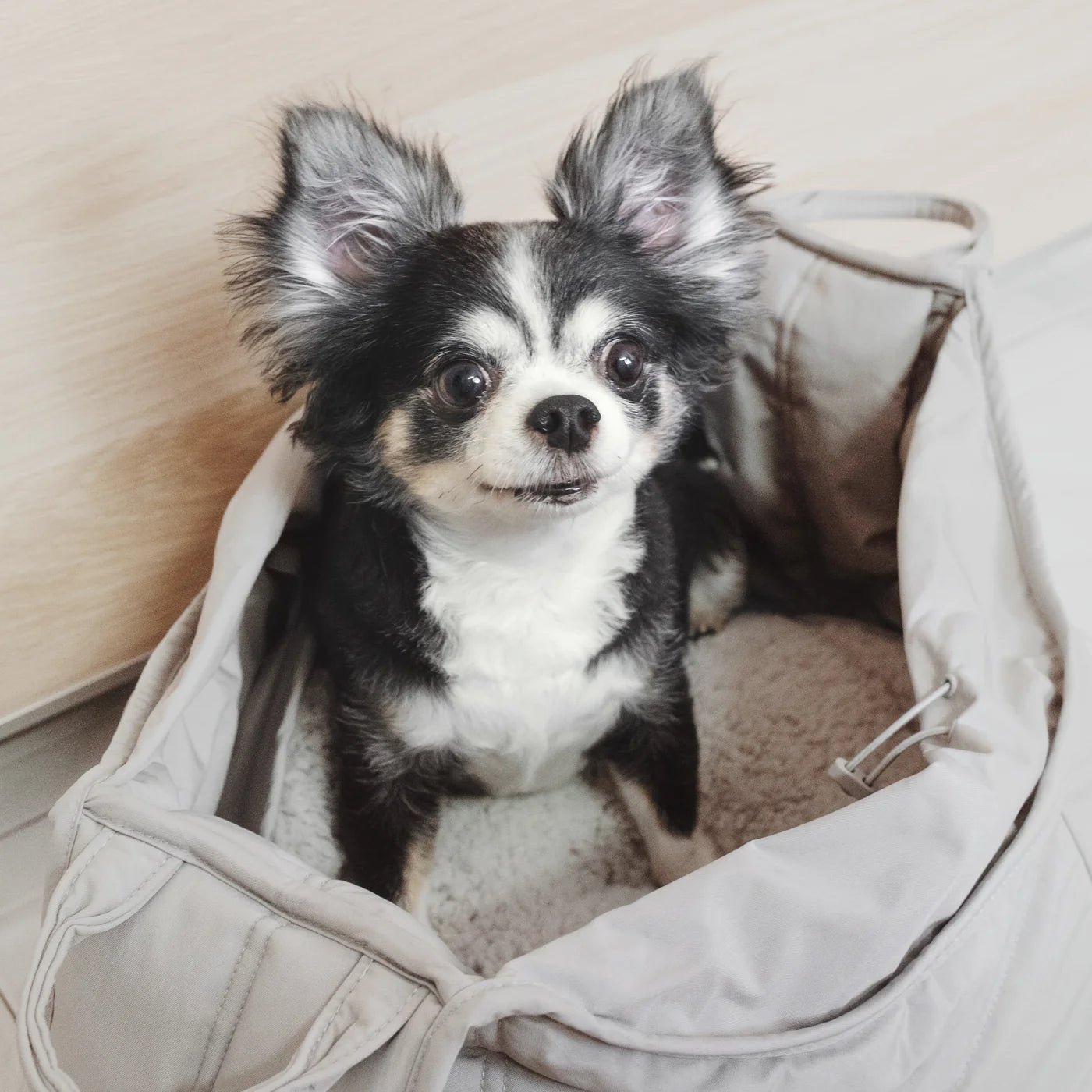 OLLA | SAC DE TRANSPORT POUR CHIENS