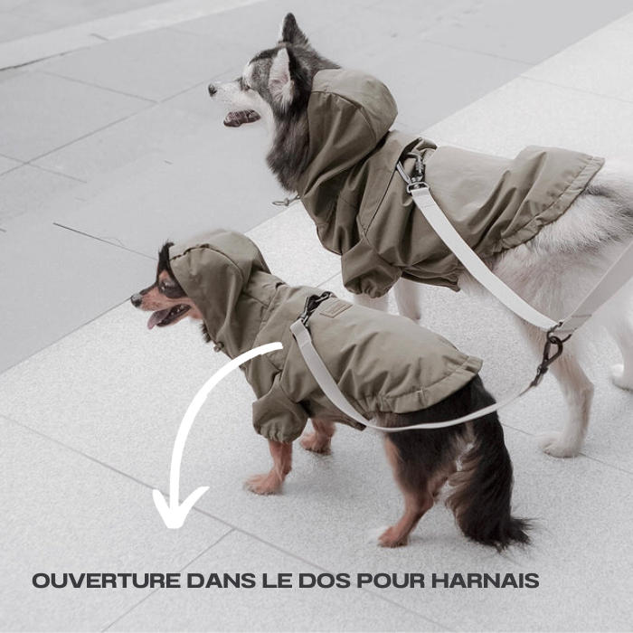 IMPERMEABLE POUR CHIEN-BROOKLYN