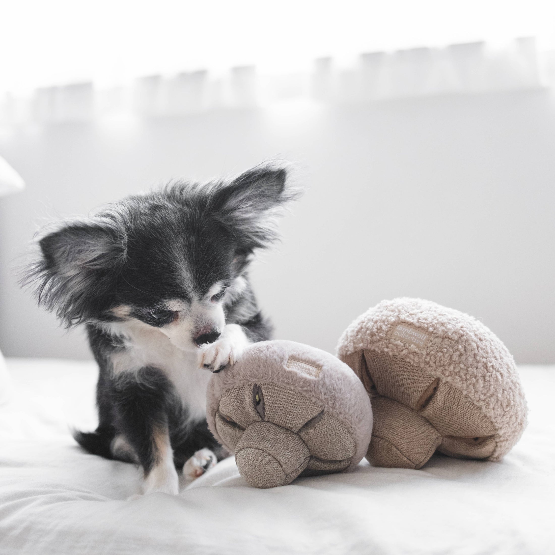 "CHAMPIGNON" - JOUET D'OCCUPATION POUR CHIEN