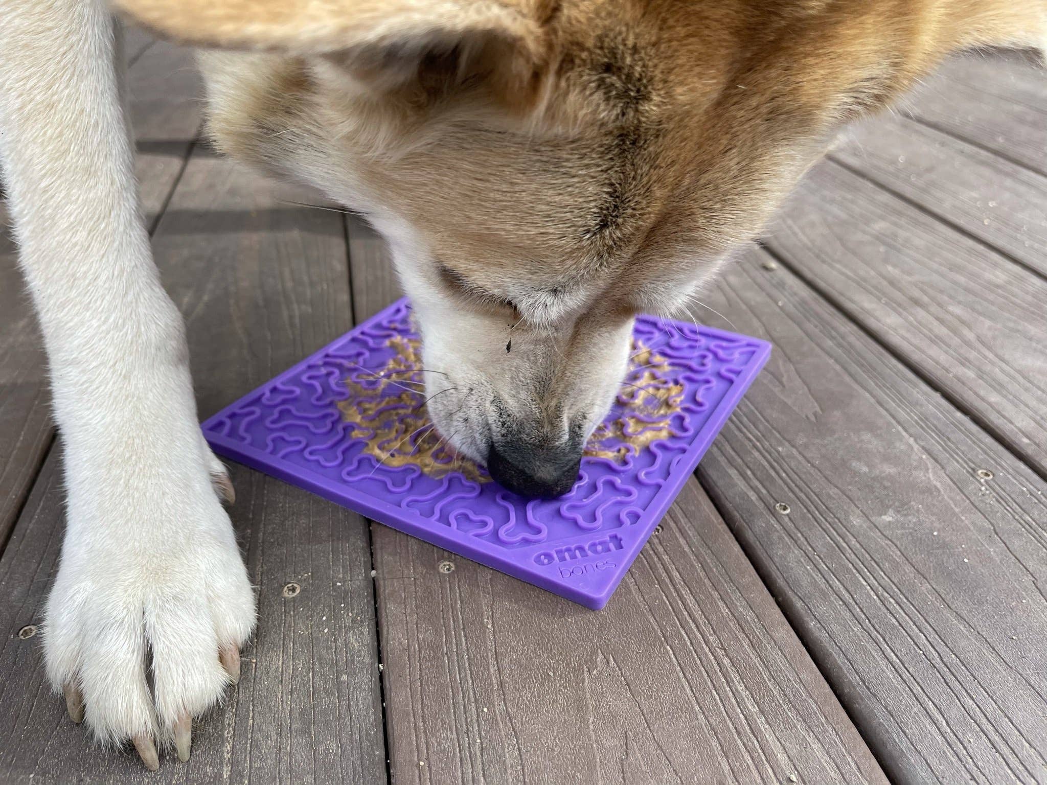 Tapis de léchage et d'occupation pour chien - Motif Os  🦴