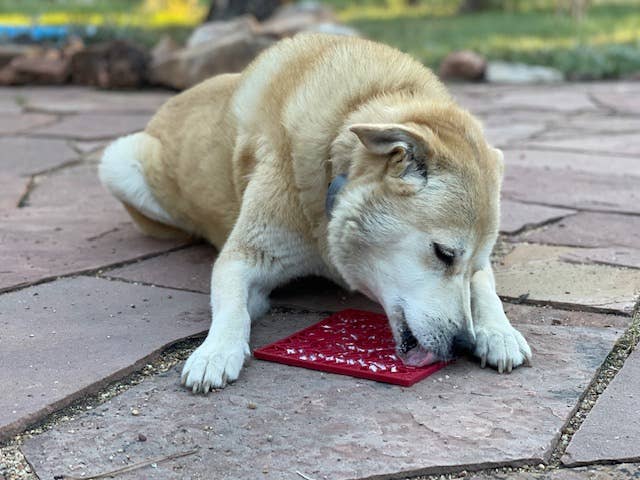 Tapis de léchage et d'occupation - Crazy Dog « Love » ❤️