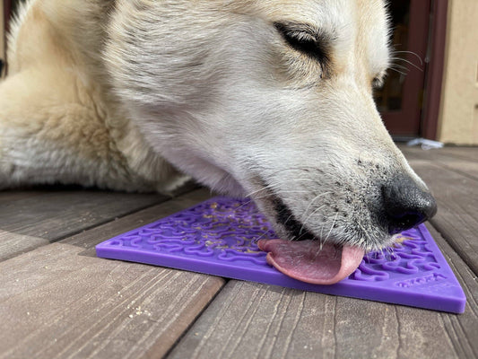 Tapis de léchage et d'occupation pour chien - Motif Os  🦴