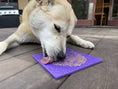 Charger l'image dans la visionneuse de la galerie, Tapis de léchage et d'occupation pour chien - Motif Os  🦴
