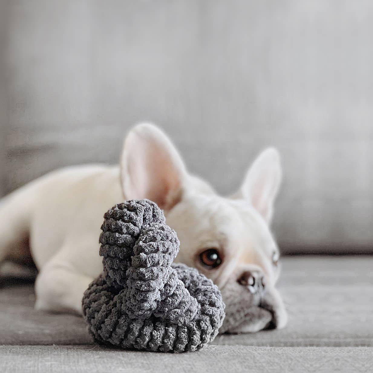 NOU-JOUET D'OCCUPATION POUR CHIOT