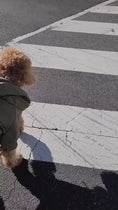 Charger et lire la vidéo dans la visionneuse de la galerie, IMPERMEABLE POUR CHIEN-BROOKLYN
