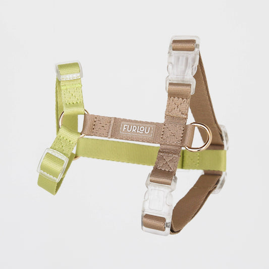 HARNAIS POUR CHIEN - TAN & LIME