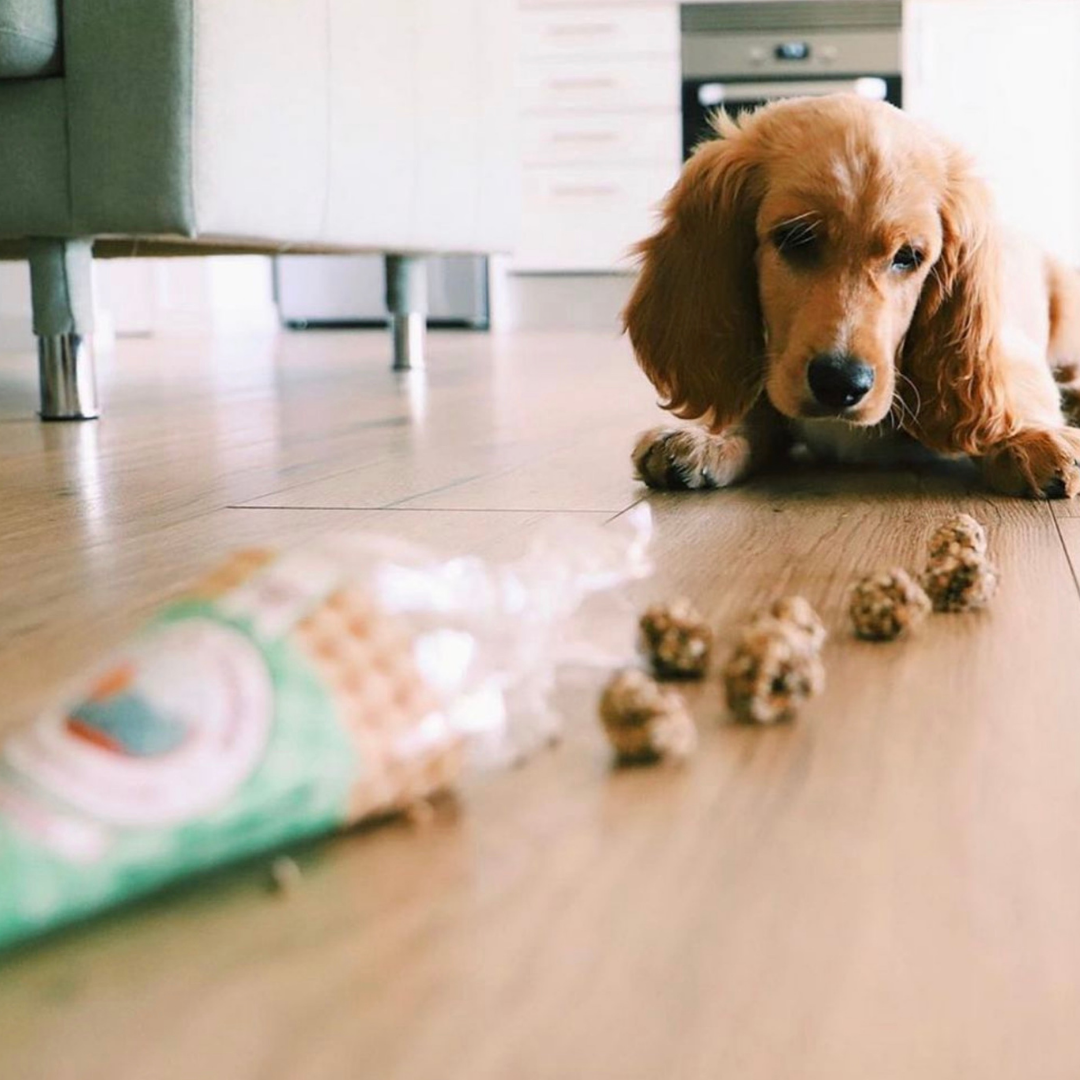 Cornet de friandises pour chien - au porc et à la sardine